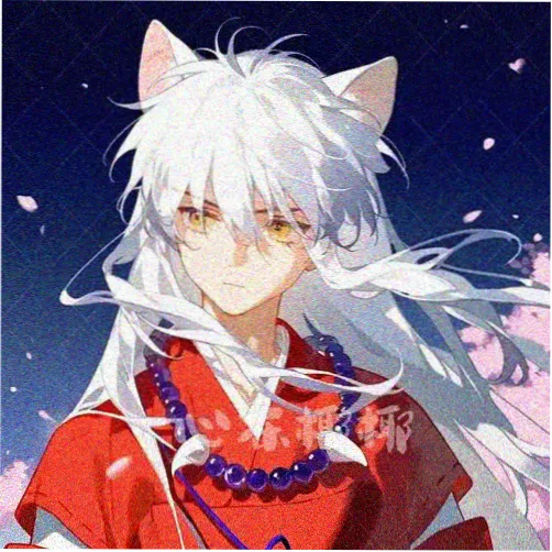 用户 深夜刷番的猫 的头像